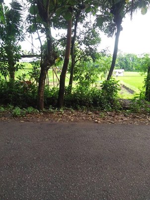DIJUAL TANAH BANTUL : TIMUR KAMPUS ISI