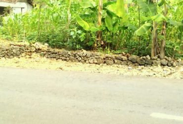 DIJUAL TANAH GUNUNGKIDUL : TANAH HARGOSARI
