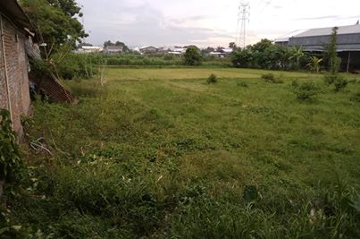 DIJUAL TANAH  BANTUL : TANAH DONGKELAN