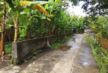 DIJUAL TANAH BANTUL : TANAH JL PARIS