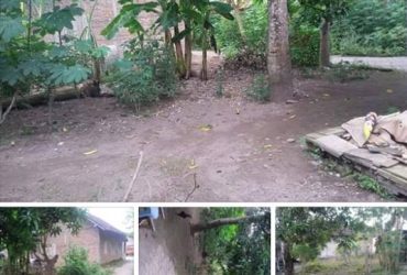 DIJUAL TANAH BANTUL : TANAH PIYUNGAN