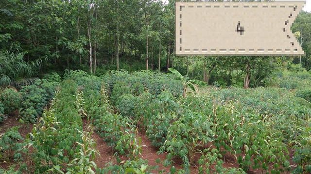 DIJUAL TANAH GUNUNGKIDUL : TANAH HARGOSARI
