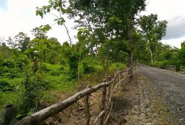 DIJUAL TANAH GUNUNGKIDUL : TANAH PLAYEN