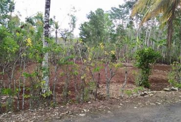 DIJUAL TANAH GUNUNGKIDUL : TANAH PLAYEN