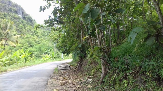 DIJUAL TANAH GUNUNGKIDUL : TANAH TEGALAN