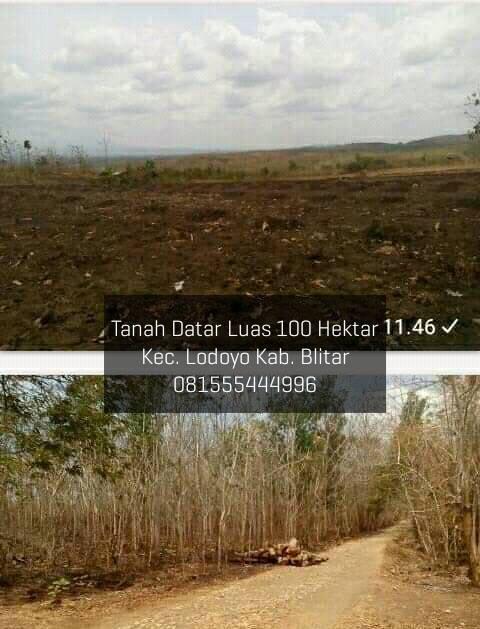 DIJUAL TANAH JAWA TIMUR : TANAH BLITAR