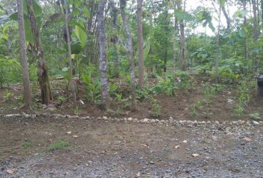 DIJUAL TANAH  KULONPROGO : TANAH PEKARANGAN