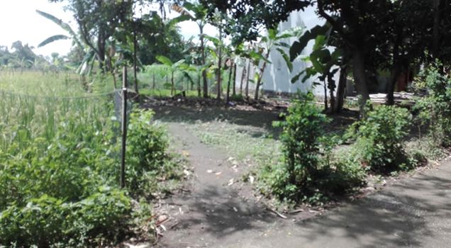 DIJUAL TANAH SLEMAN : TANAH DI BERBAH