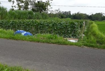 DIJUAL TANAH SLEMAN : TANAH JL GITO