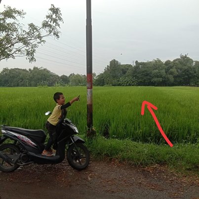 DIJUAL TANAH  BANTUL : TANAH DI TAMANAN