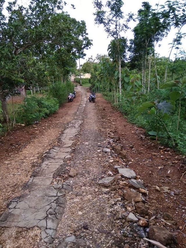 DIJUAL TANAH GUNUNGKIDUL : TANAH DI SEMANU
