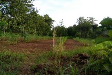 DIJUAL TANAH GUNUNGKIDUL : TANAH LUAS