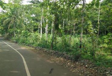 DIJUAL TANAH GUNUNGKIDUL : TANAH TEPUS