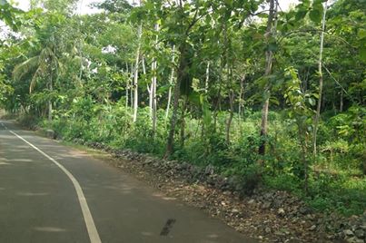 DIJUAL TANAH GUNUNGKIDUL : TANAH TEPUS