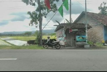 DIJUAL TANAH  BANTUL : SAWAH KECIL