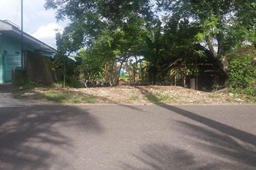 DIJUAL TANAH  BANTUL : TANAH BELAKANG UMY
