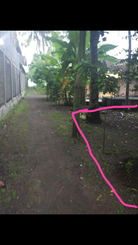 DIJUAL TANAH BANTUL : TANAH NYAMAN