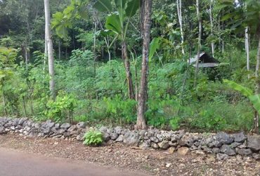 DIJUAL TANAH GUNUNGKIDUL : TANAH DI TEPUS