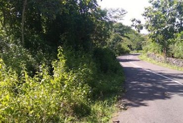 DIJUAL TANAH GUNUNGKIDUL : TANAH GIRIPANGGUNG