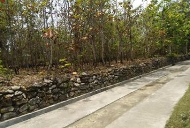 DIJUAL TANAH GUNUNGKIDUL : TANAH KEPEK