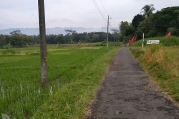 DIJUAL TANAH SLEMAN : SAWAH MOYUDAN