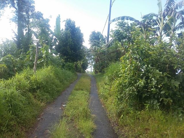 DIJUAL TANAH BALI : TANAH NYAMAN