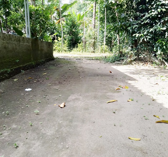 DIJUAL TANAH  BANTUL : PEKARANGAN JL PARISL