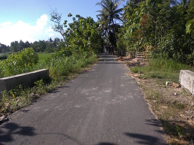 DIJUAL TANAH BANTUL : SAWAH MULYODADI