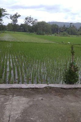 DIJUAL TANAH  BANTUL : TANAH KLEGEN