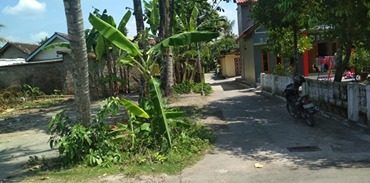 DIJUAL TANAH  BANTUL : TANAH PANDAK