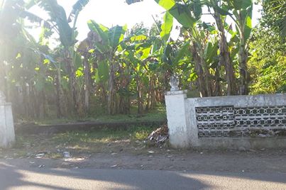 DIJUAL TANAH  BANTUL : TANAH STRATEGIS