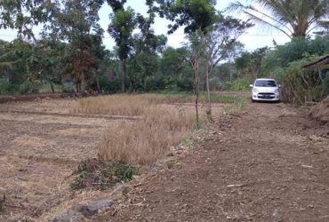 DIJUAL TANAH  KULONPROGO : TANAH TUKSONO