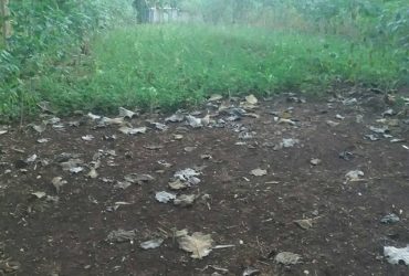 DIJUAL TANAH GUNUNGKIDUL : TANAH AREA WONOSARI