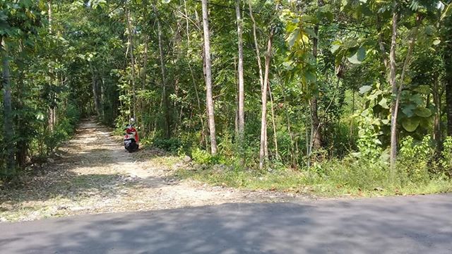 DIJUAL TANAH GUNUNGKIDUL : TANAH DEKAT MATA AIR