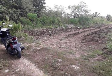 DIJUAL TANAH GUNUNGKIDUL : TANAH SINGKANG WARENG