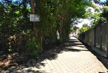 DIJUAL TANAH JAWA TIMUR : TANAH BANYUWANGI