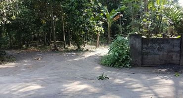 DIJUAL TANAH BANTUL : TANAH GANJURAN