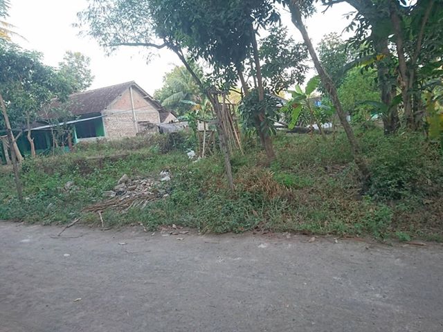 DIJUAL TANAH  BANTUL : PEKARANGAN DEKAT GANJURAN