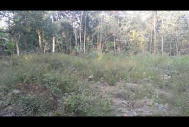 DIJUAL TANAH  BANTUL : TANAH  JL WATES