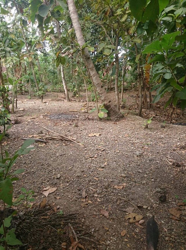 DIJUAL TANAH GUNUNGKIDUL : TANAH DI SEMANU