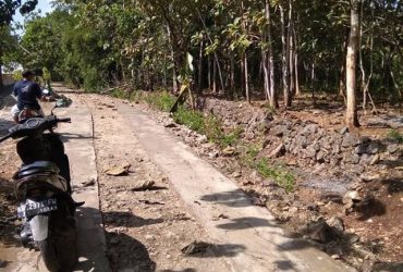 DIJUAL TANAH GUNUNGKIDUL : TANAH MURAH