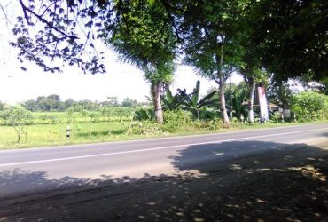 DIJUAL TANAH JAWA TIMUR : TANAH NGANJUKL
