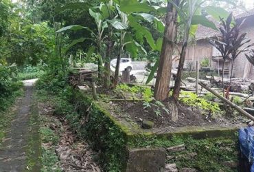 DIJUAL TANAH SLEMAN : TANAH  MURAH