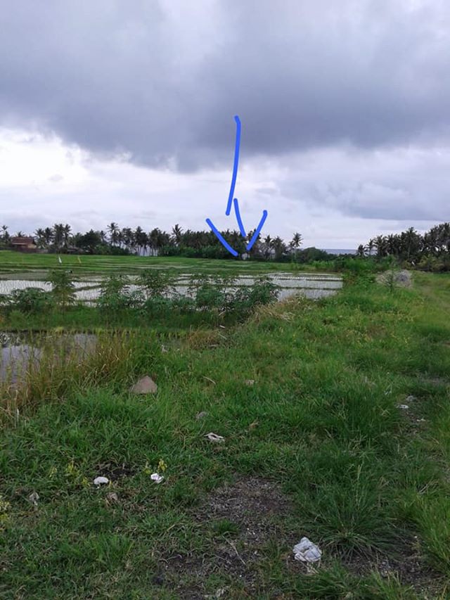 DIJUAL TANAH BALI : TANAH DI DENPASAR