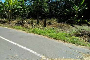 DIJUAL TANAH  BANTUL : TANAH KEPONGGOK