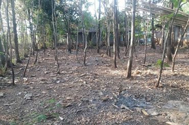 DIJUAL TANAH GUNUNGKIDUL : TANAH SEMANU.