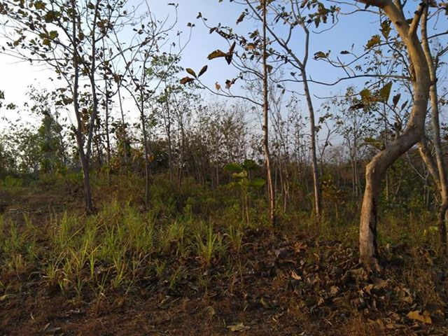 DIJUAL TANAH GUNUNGKIDUL : TANAH AREA SEMANU