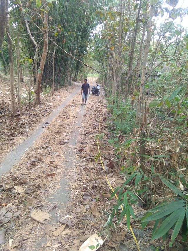 DIJUAL TANAH GUNUNGKIDUL : TANAH BENDO