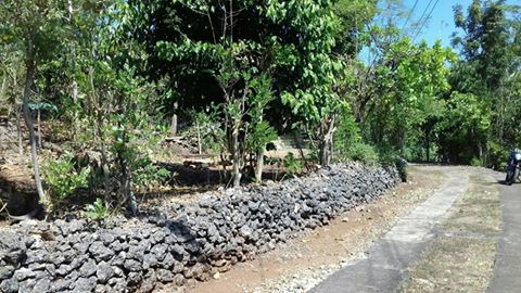 DIJUAL TANAH  GUNUNGKIDUL : TANAH GEMPOL