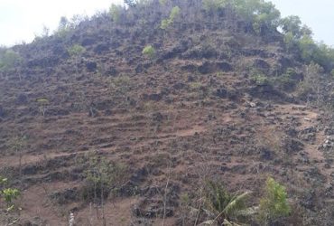 DIJUAL TANAH GUNUNGKIDUL : TANAH PANTAI NGLAMBOR